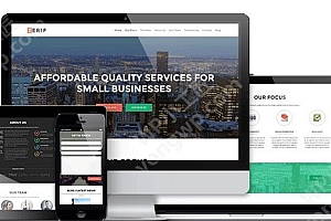 zerifpro 通用国外企业主题