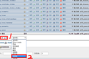 WordPress Database Error 错误解决