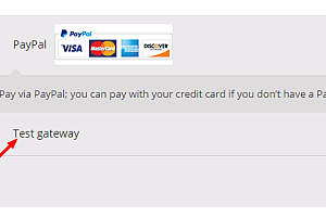 Woocommerce  结算付款支付测试插件