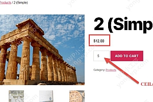 代码实现WooCommerce:设置指定产品的最低购买金额