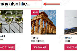 Woocommerce 修改“You may also like”文字内容