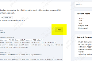 WordPress所有内容复制到剪贴板Copy Anything to Clipboard插件