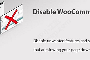 B2B外贸建站-禁用WooCommerce多余功能